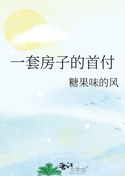 一套房子的首付