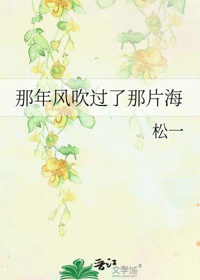 《那年风吹过了那片海》