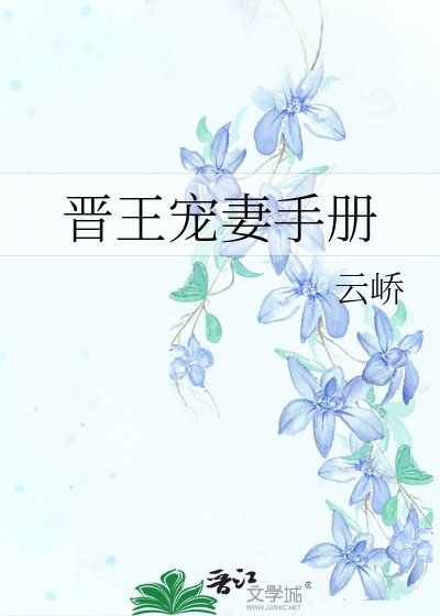 晋王宠妻手册
