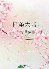 《四圣大陆》