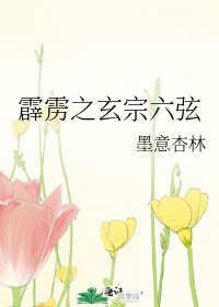 《霹雳之玄宗六弦》