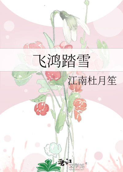 《飞鸿踏雪》
