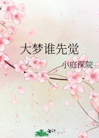 《大梦谁先觉》