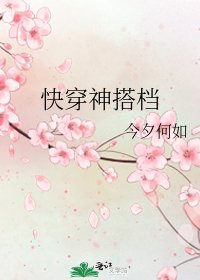 《快穿神搭档》