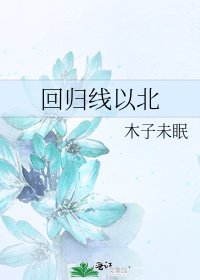 回归线以北