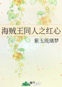 《海贼王同人之红心》