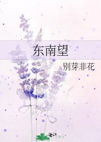 《东南望》