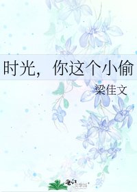 《时光,你这个小偷》