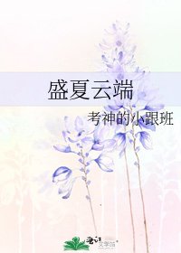 《盛夏云端》