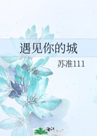 《遇见你的城》