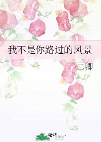 《我不是你路过的风景》