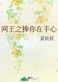 《网王之捧你在手心》