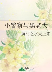 小警察与黑老大