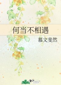 《何当不相遇》