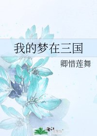 《我的梦在三国》