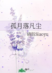 《孤月落凡尘》