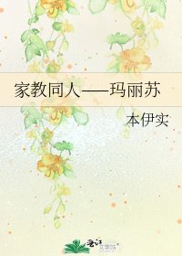 《家教同人——玛丽苏》