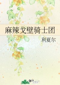 《麻辣戈壁骑士团》