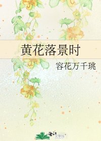 《黄花落景时》