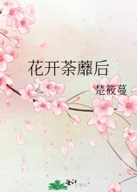 《花开荼蘼后》