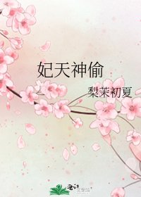 《妃天神偷》
