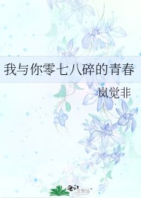 《我与你零七八碎的青春》