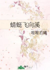 《蜻蜓飞向溪》