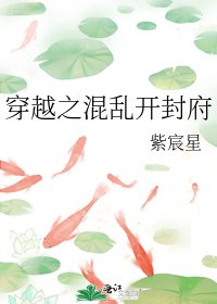 《穿越之混乱开封府》