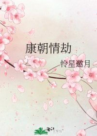 《康朝情劫》