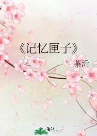《记忆匣子》