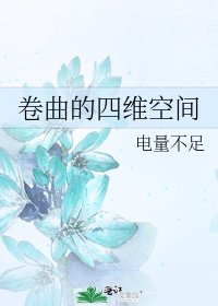 《卷曲的四维空间》