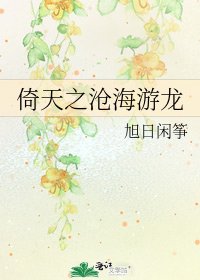 《倚天之沧海游龙》