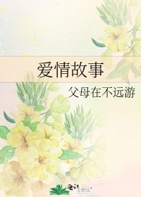 《爱情故事》