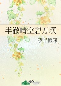 《半澈晴空碧万顷》
