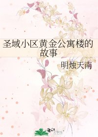 《圣域小区黄金公寓楼的故事》