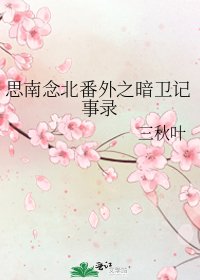 《思南念北番外之暗卫记事录》