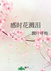 《感时花溅泪》