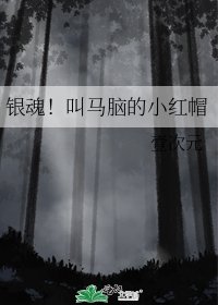《银魂!叫马脑的小红帽》