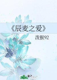 《辰麦之爱》