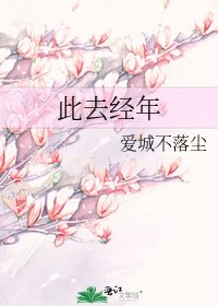 《此去经年》