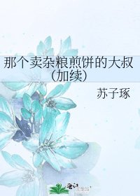 《那个卖杂粮煎饼的大叔(加续)》