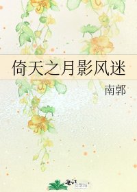 《倚天之月影风迷》