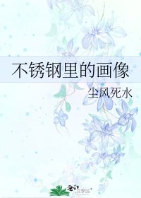 《不锈钢里的画像》