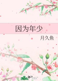《因为年少》