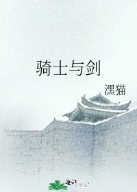 《骑士与剑》