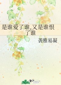 《是谁爱了谁,又是谁恨了谁》