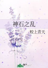 《神石之乱》