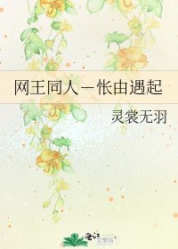 《网王同人-怅由遇起》