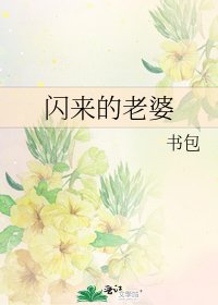 《闪来的老婆》