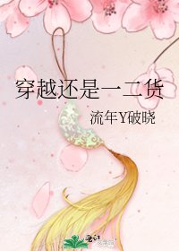《穿越还是一二货》